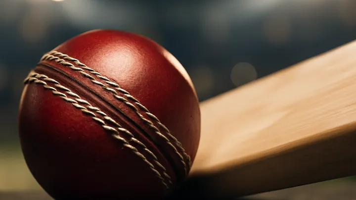 Diverse Sports Betting Options